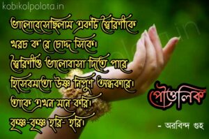 Pouttalik kobita lyrics পৌত্তলিক (ভালোবেসেছিলাম একটি স্বৈরিণীকে) কবিতা