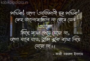 Biday belay kobita Kazi Nazrul Islam বিদায়-বেলায় - কাজী নজরুল ইসলাম