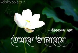 Tomake valobeshe kobita Jibanananda Das তোমাকে ভালোবেসে - জীবনানন্দ দাশ