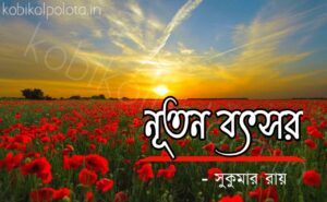 Nuton bothsor kobita Shukumar Ray নূতন বৎসর কবিতা সুকুমার রায়