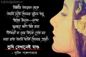 Bengali Love Poem, Tumi jekhanei jao kobita lyrics written by Sunil Gangopadhyay বাংলা প্রেমের কবিতা, তুমি যেখানেই যাও লিখেছেন সুনীল গঙ্গোপাধ্যায়।