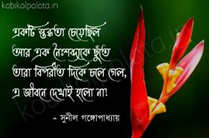 Bengali Poem, Ekti stobdhota cheyechilo kobita lyrics written by Sunil Gangopadhyay বাংলা কবিতা, একটি স্তব্ধতা চেয়েছিল লিখেছেন সুনীল গঙ্গোপাধ্যায়।