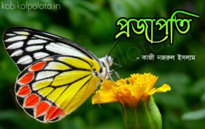 Projapoti kobita Kazi Nazrul Islam প্রজাপতি কবিতা কাজী নজরুল ইসলাম