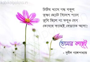 Tomar kachei kobita Sunil Gangopadhyay তোমার কাছেই কবিতা সুনীল গঙ্গোপাধ্যায়