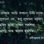 অচেনা (কবিতা) - রবীন্দ্রনাথ ঠাকুর Achena poem by Rabindranath Tagore