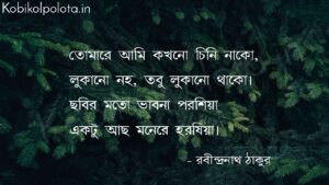 অচেনা (কবিতা) - রবীন্দ্রনাথ ঠাকুর Achena poem by Rabindranath Tagore