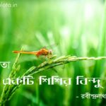 Akti sisir bindu poem by Rabindranath Tagore একটি শিশির বিন্দু - রবীন্দ্রনাথ ঠাকুর