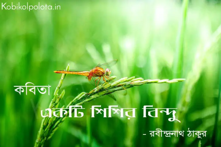 Akti sisir bindu poem by Rabindranath Tagore একটি শিশির বিন্দু - রবীন্দ্রনাথ ঠাকুর