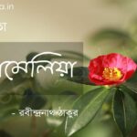 ক্যামেলিয়া (কবিতা) - রবীন্দ্রনাথ ঠাকুর Camellia poem Rabindranath