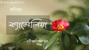 ক্যামেলিয়া (কবিতা) - রবীন্দ্রনাথ ঠাকুর Camellia poem Rabindranath