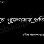 চে গুয়েভারার প্রতি (কবিতা) - সুনীল গঙ্গোপাধ্যায় Che guevarar proti poem Sunil Gangopardhyay