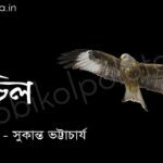 চিল (কবিতা) - সুকান্ত ভট্টাচার্য Chil poem by Sukanta Bhattacharya