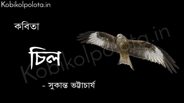 চিল (কবিতা) - সুকান্ত ভট্টাচার্য Chil poem by Sukanta Bhattacharya