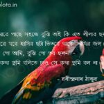 ছল (কবিতা) - রবীন্দ্রনাথ ঠাকুর Chol poem Rabindranath Tagore