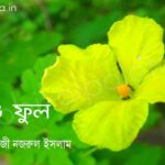 ঝিঙে ফুল (কবিতা) - কাজী নজরুল ইসলাম Jhinge ful poem Kazi Nazrul Islam