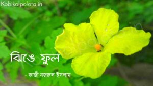 ঝিঙে ফুল (কবিতা) - কাজী নজরুল ইসলাম Jhinge ful poem Kazi Nazrul Islam