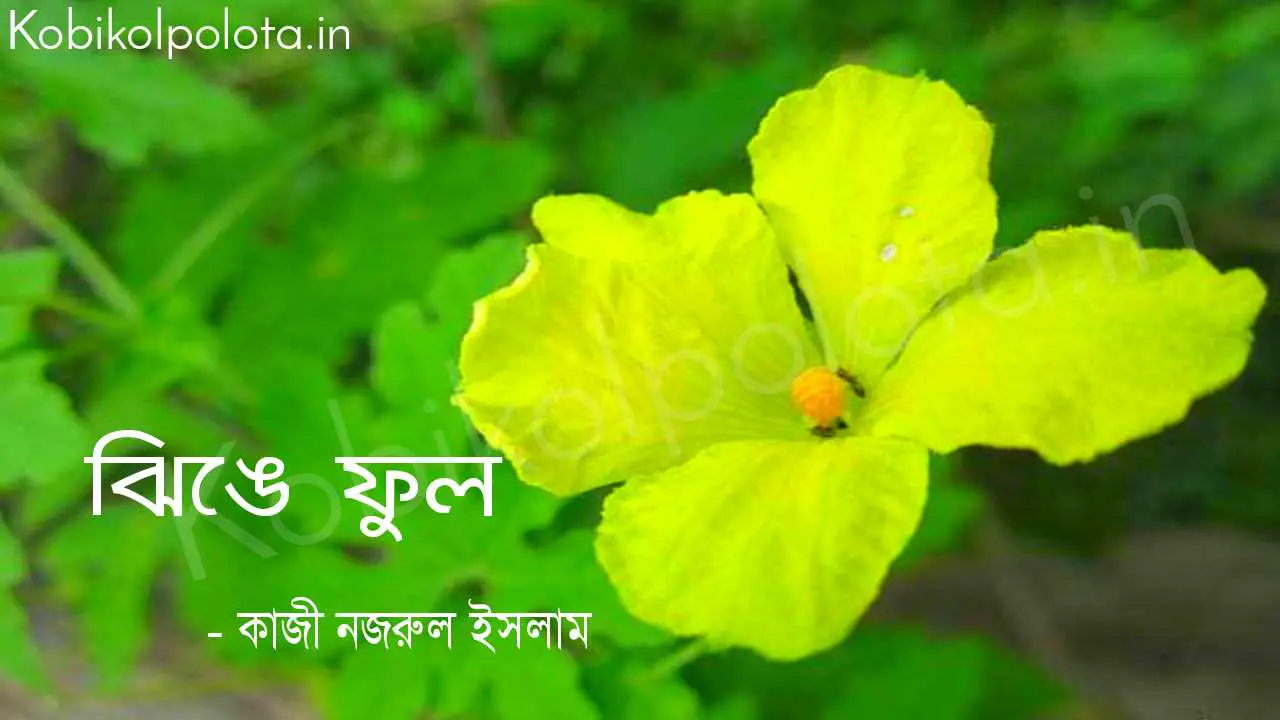 ঝিঙে ফুল (কবিতা) - কাজী নজরুল ইসলাম Jhinge ful poem Kazi Nazrul Islam 