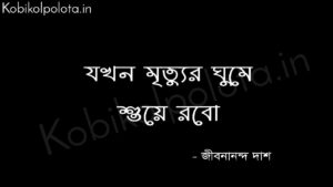 Jokhon mrittur ghume suye robo যখন মৃত্যুর ঘুমে শুয়ে রবো - জীবনানন্দ দাশ