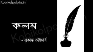 কলম (কবিতা) - সুকান্ত ভট্টাচার্য Kolom poem by Sukanta Bhattacharya