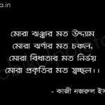 মোরা ঝঞ্ঝার মত উদ্দ্যম - কাজী নজরুল ইসলাম Mora jhonjar moto uddom Poem kazi Nazrul Islam