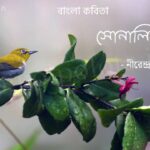 সোনালি বৃত্তে (কবিতা) - নীরেন্দ্রনাথ চক্রবর্তী Solali britte poem Narendranath Chakraborty