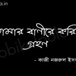 তোমার বাণীরে করিনি গ্রহণ (কবিতা) - কাজী নজরুল ইসলাম Tomar banire korini grohon poem Kazi Nazrul Islam