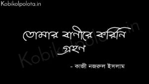 তোমার বাণীরে করিনি গ্রহণ (কবিতা) - কাজী নজরুল ইসলাম Tomar banire korini grohon poem Kazi Nazrul Islam