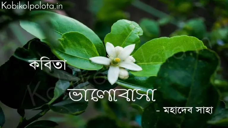 ভালোবাসা - মহাদেব সাহা Valobasha kobita lyrics Mahadev Saha