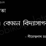 এ কেমন বিদ্যাসাগর - নীরেন্দ্রনাথ চক্রবর্তী a kemon Bidyasagor poem by Nirendranath Chakraborty