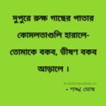 Arale poem Lyrics Sankha Ghosh আড়ালে (কবিতা) - শঙ্খ ঘোষ