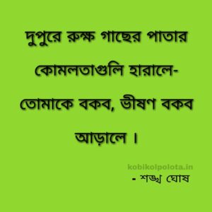 Arale poem Lyrics Sankha Ghosh আড়ালে (কবিতা) - শঙ্খ ঘোষ