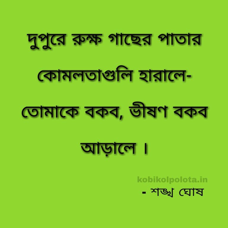 Arale poem Lyrics Sankha Ghosh আড়ালে (কবিতা) - শঙ্খ ঘোষ