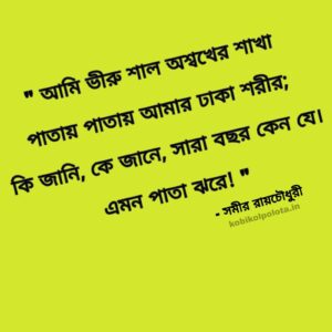 অন্তরালোক - সমীর রায়চৌধুরী